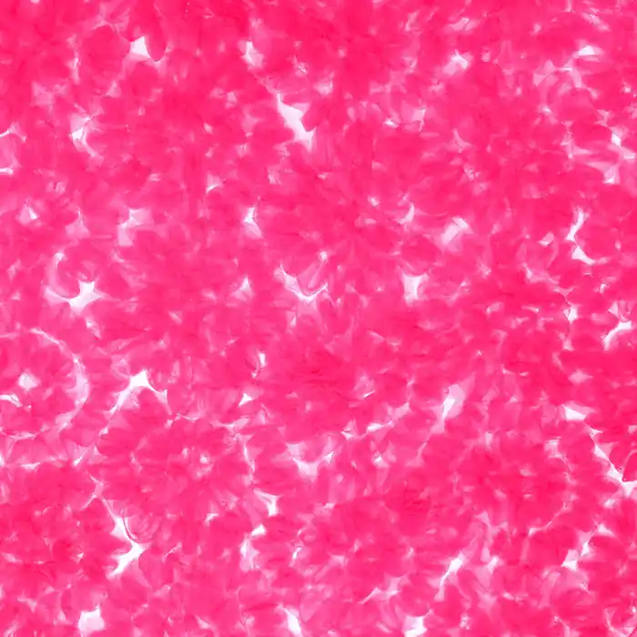 Sichere Zahlung Spitze, Tüll, floral, 26291-222, rosa