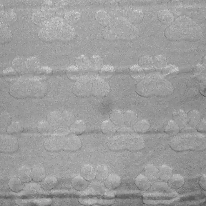 Velours, Tiere, 29216-002, grau Limited Edition