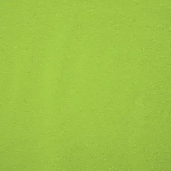 Neue Kollektion Jersey, Viskose, Luxe, 12961-448, hellgrün