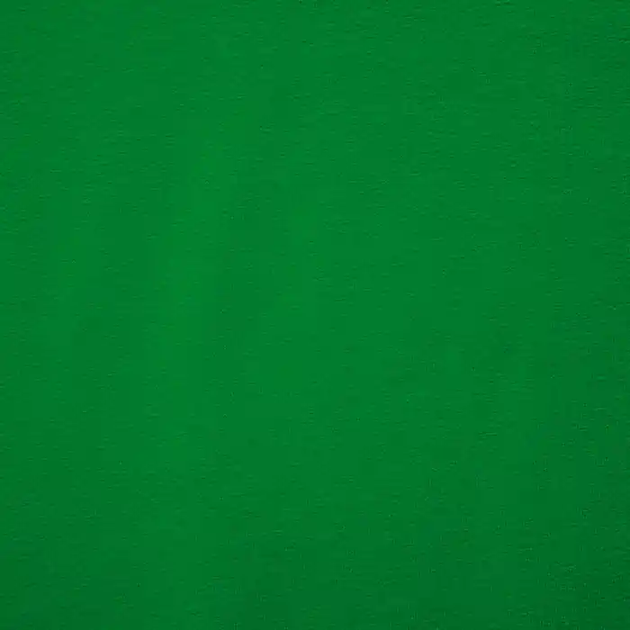 Wochenendangebot Jersey, Viskose, Luxe, 12961-450, grün