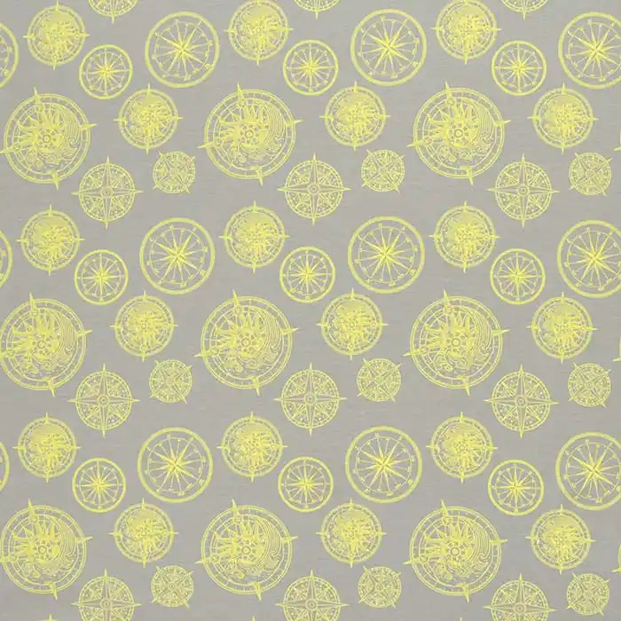 Expressversand Jersey, Baumwolle, Druck, 29024-270