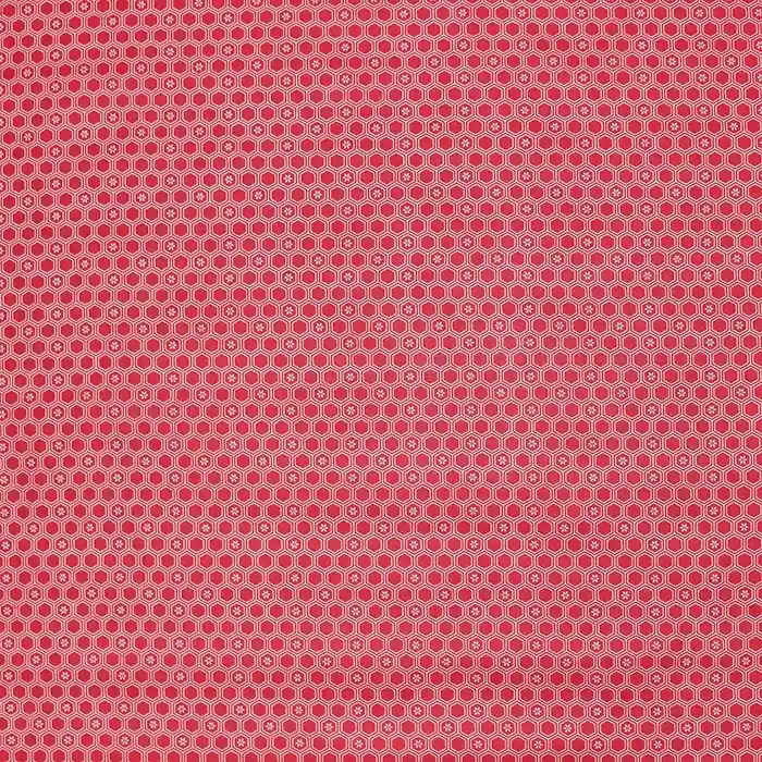 Bestpreis Baumwolle, Popeline, geometrisch, 28593-02, rot