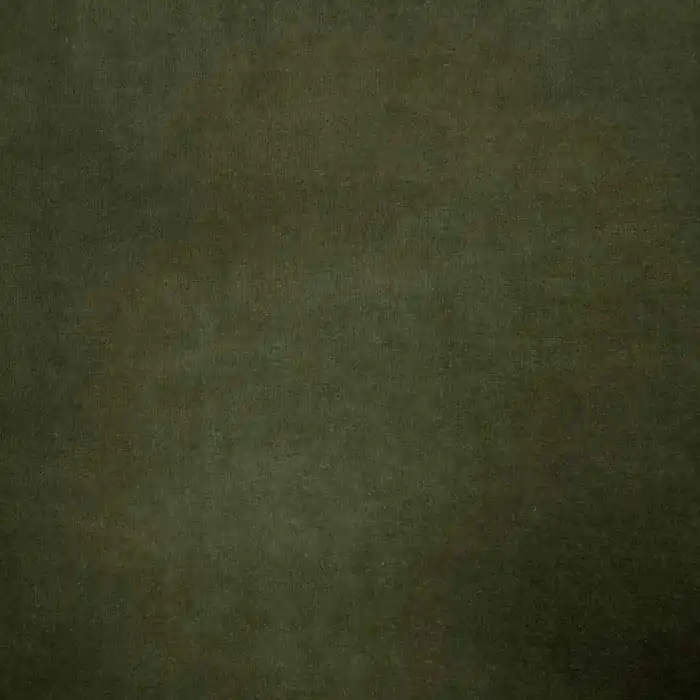 Baumwollplüsch, 13473-227, grün Heute Kaufen